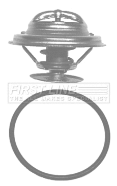 Thermostat, coolant (FTK019)