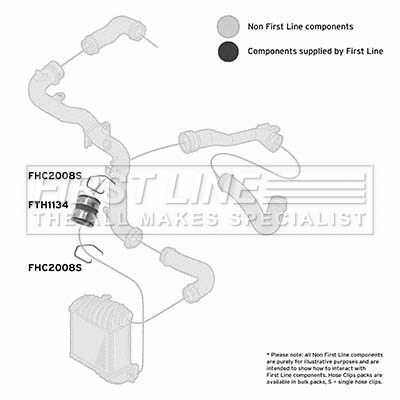 Charge Air Hose (FTH1134)