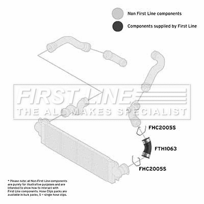 Charge Air Hose (FTH1063)