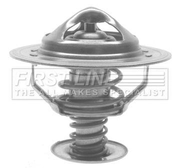 Thermostat, coolant (FTS313.82)