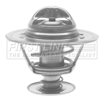 Thermostat, coolant (FTS120.87)