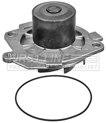 Water Pump, engine cooling (FWP1770)