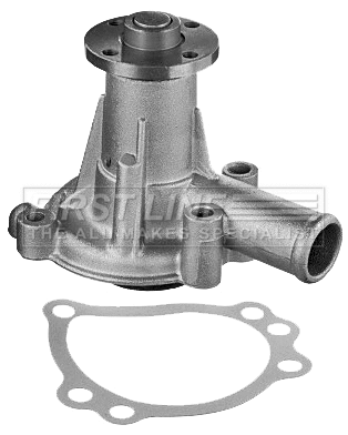 Water Pump, engine cooling (FWP1124)