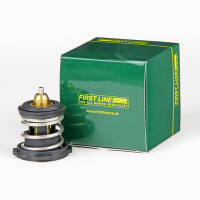 Thermostat, coolant (FTK549)