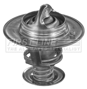 Thermostat, coolant (FTS204.78)