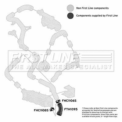 Charge Air Hose (FTH1095)