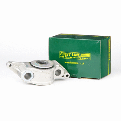 Mounting, control/trailing arm