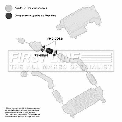 Charge Air Hose (FTH1584)