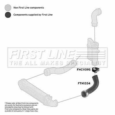 Charge Air Hose (FTH1334)