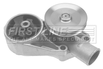 Water Pump, engine cooling (FWP1721)