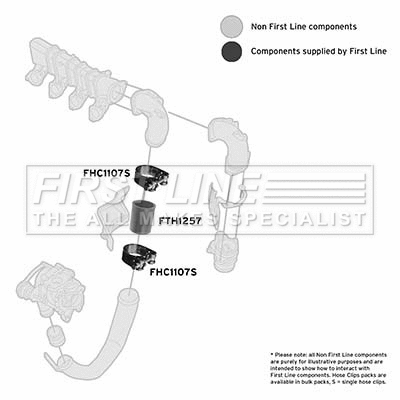 Charge Air Hose (FTH1257)