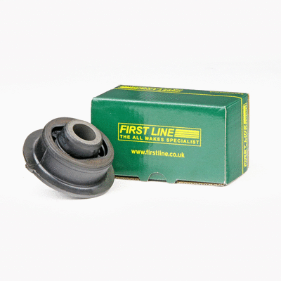 Mounting, control/trailing arm