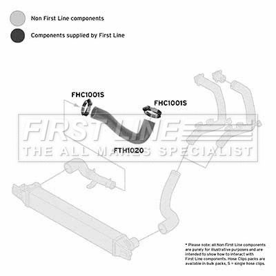 Charge Air Hose (FTH1020)
