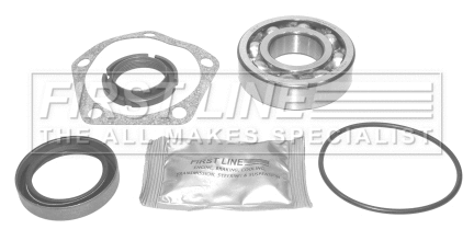 Wheel Bearing Kit (FBK036)