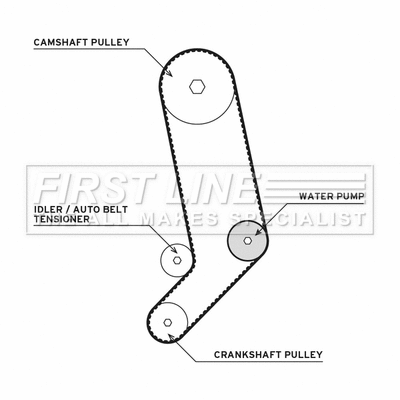 Water Pump & Timing Belt Kit (FTW1025)