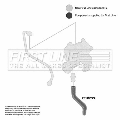 Charge Air Hose (FTH1299)
