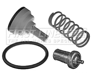 Thermostat, coolant (FTK319)