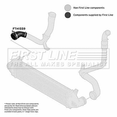 Charge Air Hose (FTH1559)