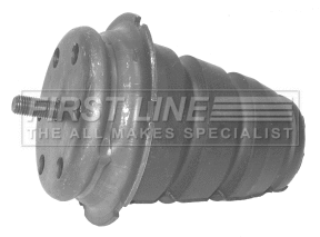Bump Stop, steering knuckle (FSK6544)