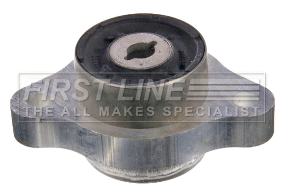Mounting, control/trailing arm (FSK8103)