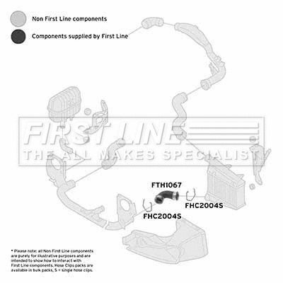 Charge Air Hose (FTH1067)