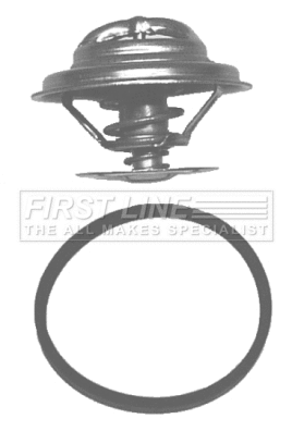 Thermostat, coolant (FTK023)