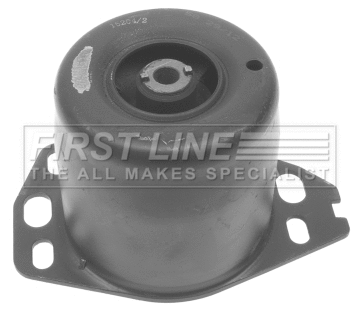 Mounting, engine (FEM3543)