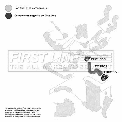 Charge Air Hose (FTH1109)