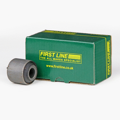 Mounting, control/trailing arm