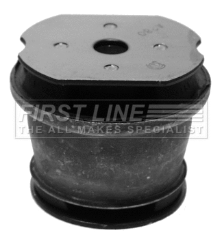 Bushing, axle bracket (FSM2029)