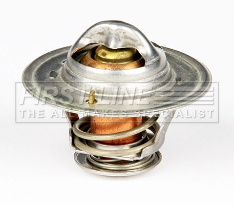 Thermostat, coolant (FTS151.79)