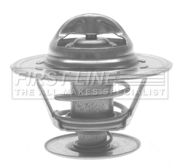 Thermostat, coolant (FTS171.92)