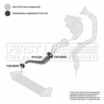 Charge Air Hose (FTH1011)