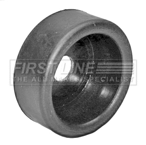 Bushing, axle bracket (FSK6545)