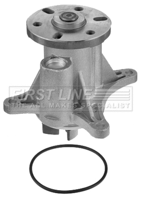 Water Pump, engine cooling (FWP2205)