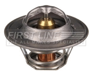 Thermostat, coolant (FTS104.74)