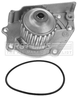 Water Pump, engine cooling (FWP1491)