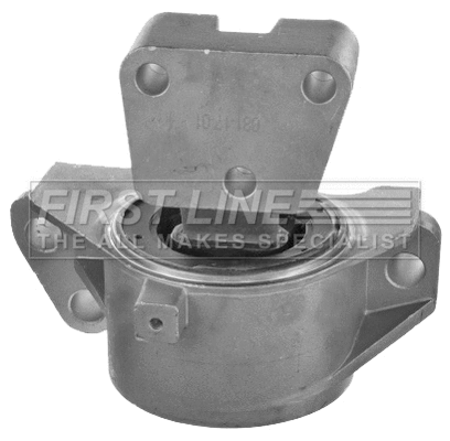 Mounting, engine (FEM4259)