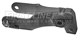 Mounting, engine (FEM3906)