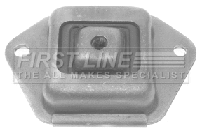 Bushing, axle beam (FSK7391)