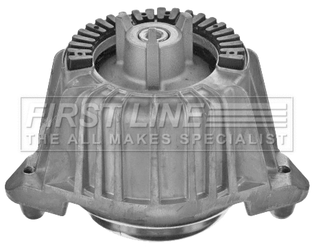 Mounting, engine (FEM4298)