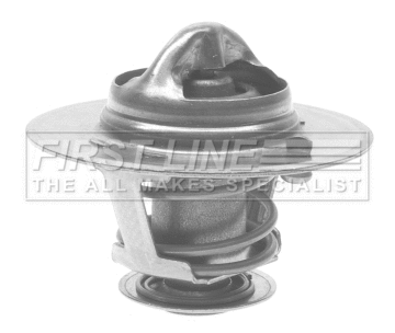 Thermostat, coolant (FTS248.79)