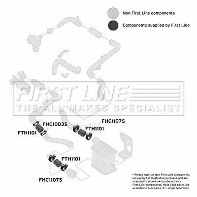 Charge Air Hose (FTH1101)