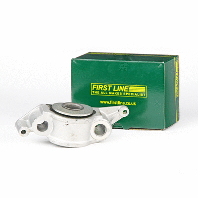 Mounting, control/trailing arm