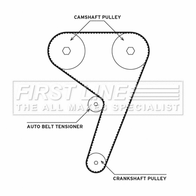 Water Pump & Timing Belt Kit (FTW1058)