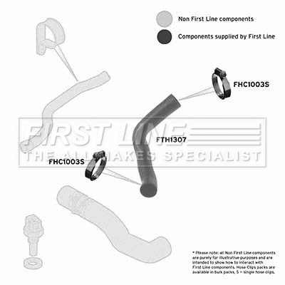 Charge Air Hose (FTH1307)