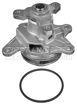 Water Pump, engine cooling (FWP2308)