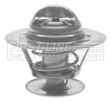 Thermostat, coolant (FTS414.89)