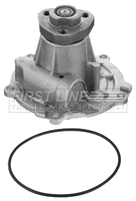 Water Pump, engine cooling (FWP1716)