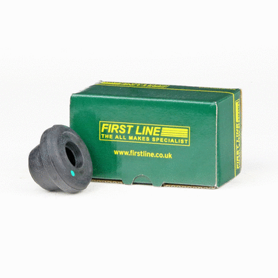 Mounting, control/trailing arm